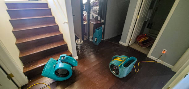 Best Sewage cleanup and water damage restoration  in Gleneagle, CO
