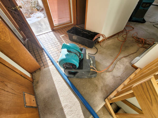 Best Fire Damage Restoration  in Gleneagle, CO