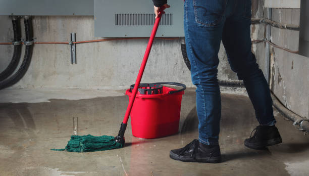 Best Local water damage restoration  in Gleneagle, CO