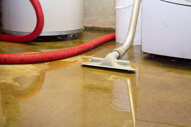 Best Basement water damage restoration  in Gleneagle, CO