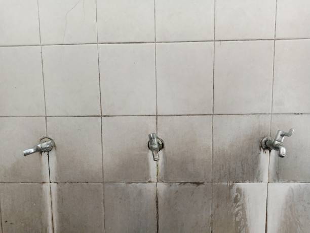 Best Flood restoration services  in Gleneagle, CO