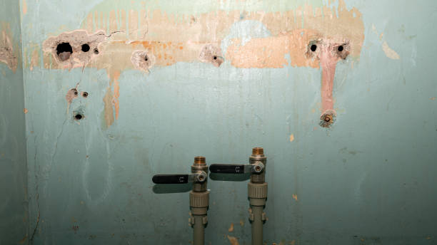 Best Flooded house restoration  in Gleneagle, CO
