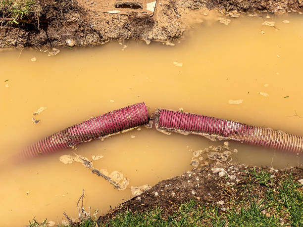 Best 24-hour water damage restoration  in Gleneagle, CO